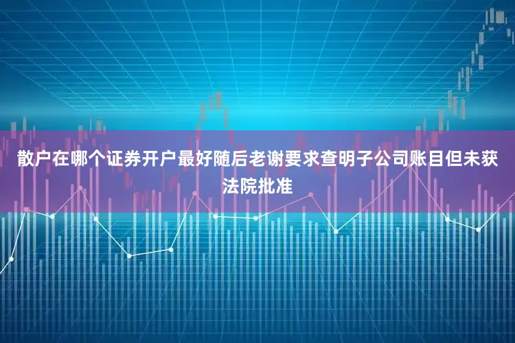 散户在哪个证券开户最好随后老谢要求查明子公司账目但未获法院批准