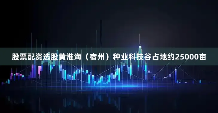 股票配资选股黄淮海（宿州）种业科技谷占地约25000亩