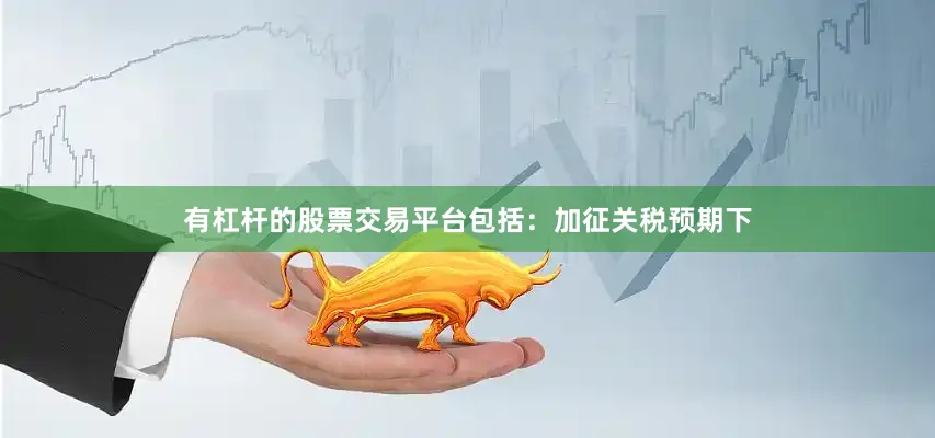 有杠杆的股票交易平台包括：加征关税预期下